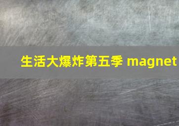 生活大爆炸第五季 magnet